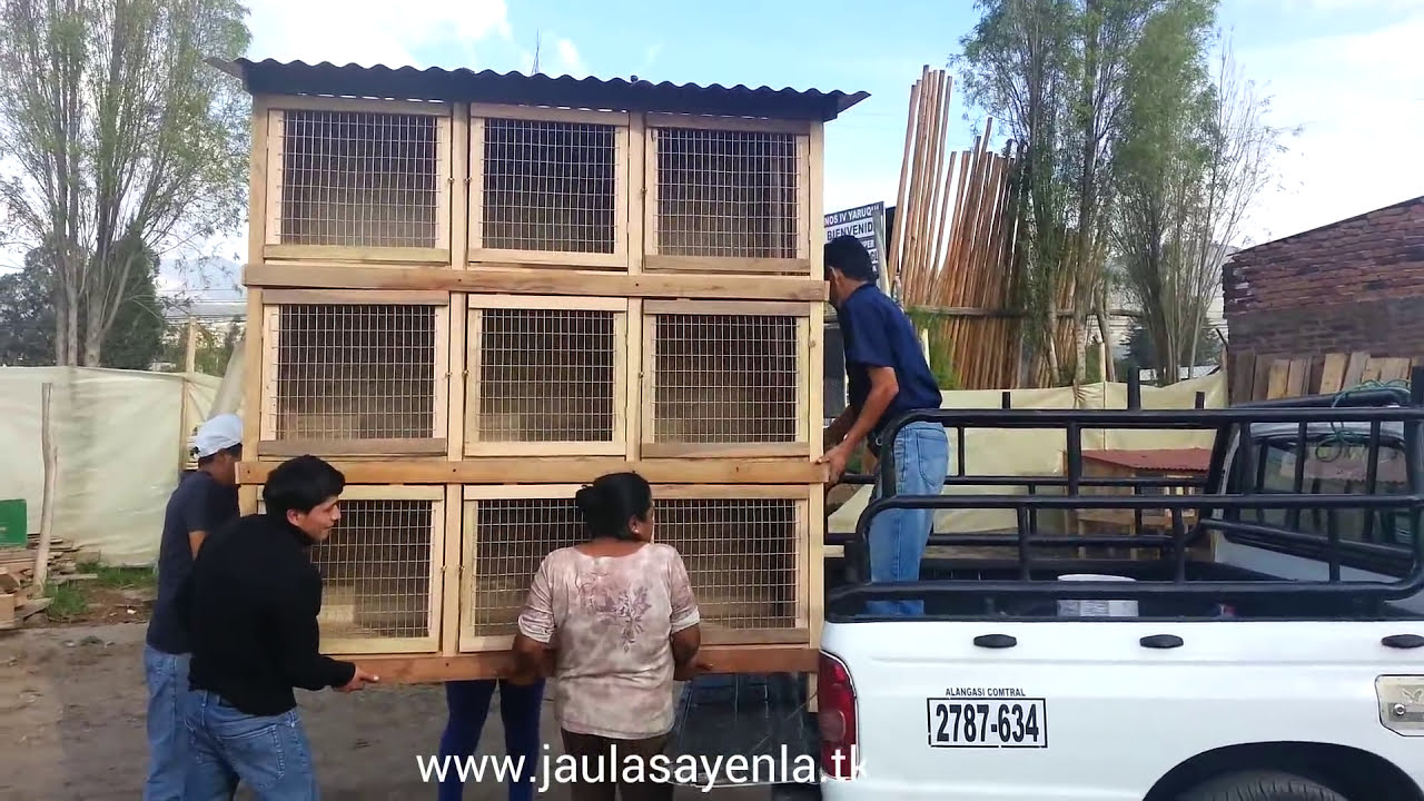 Jaula de Gallos 9 Casilleros