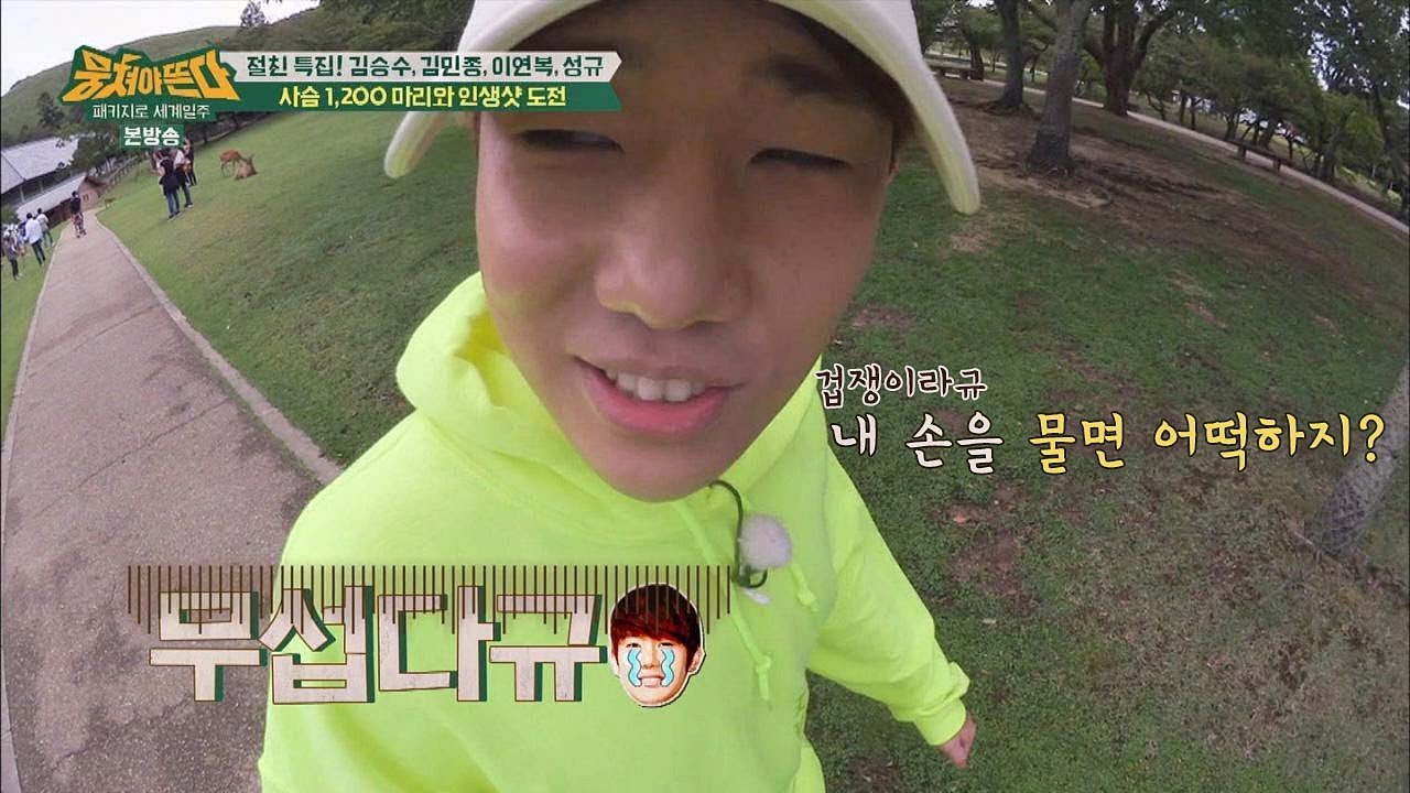 사슴한테 물릴까 봐 걱정인 겁쟁이 성규 ㅠ_ㅠ 뭉쳐야 뜬다 49회