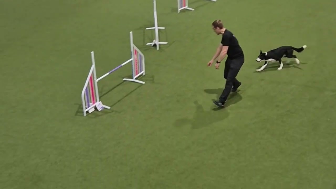 FrostFajten Dag2 - Agility Hoppklass 3A - Daniel och Vilgot