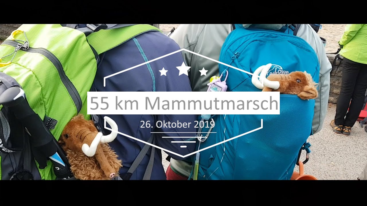 Mammutmarsch Berlin 2019 (55 km Wanderung)