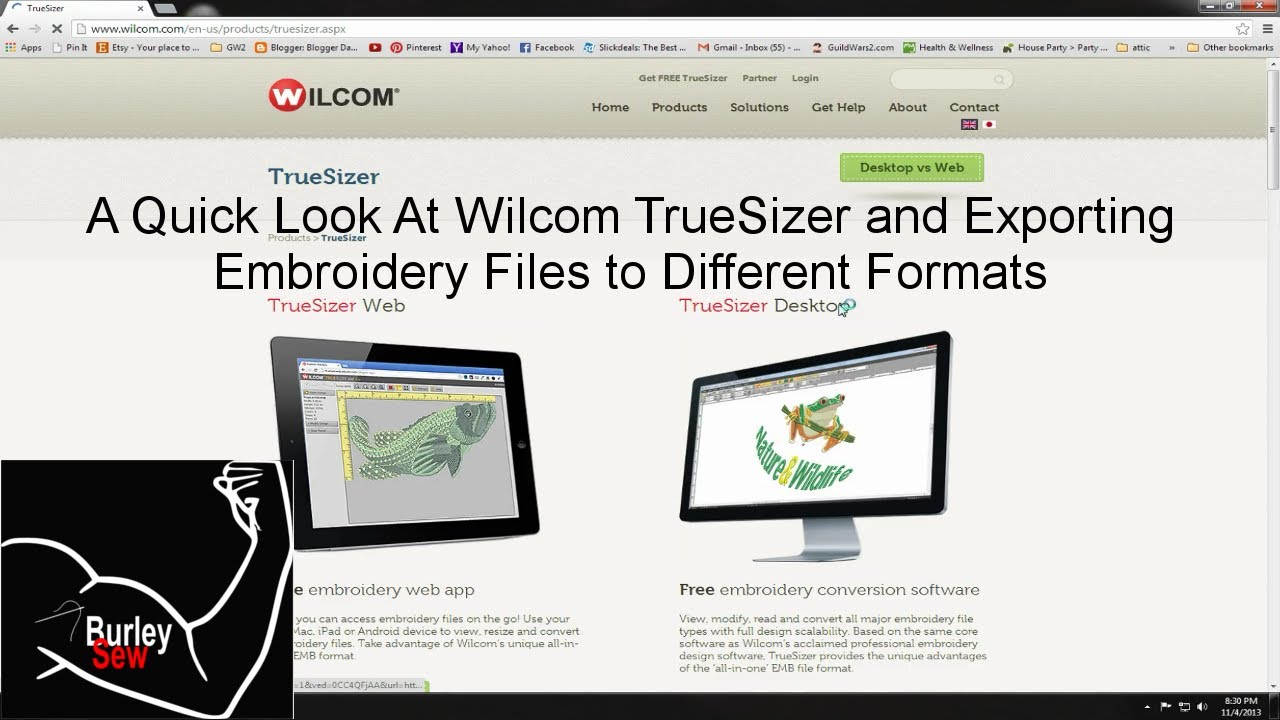 Краткий обзор Wilcom TrueSizer и как изменить формат файла вышивки DST на PES и другие