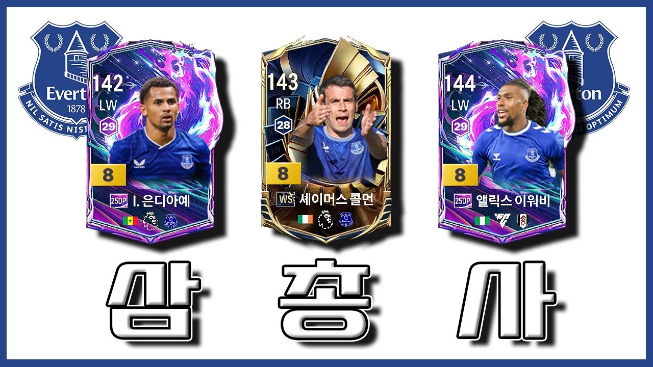 에버튼 신규 삼총사