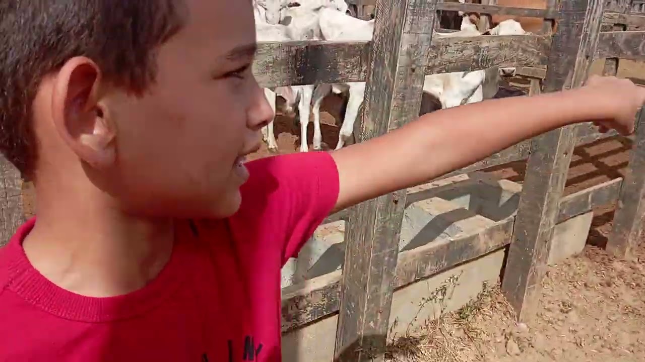 Só gado top pra mostrar pra vocês.