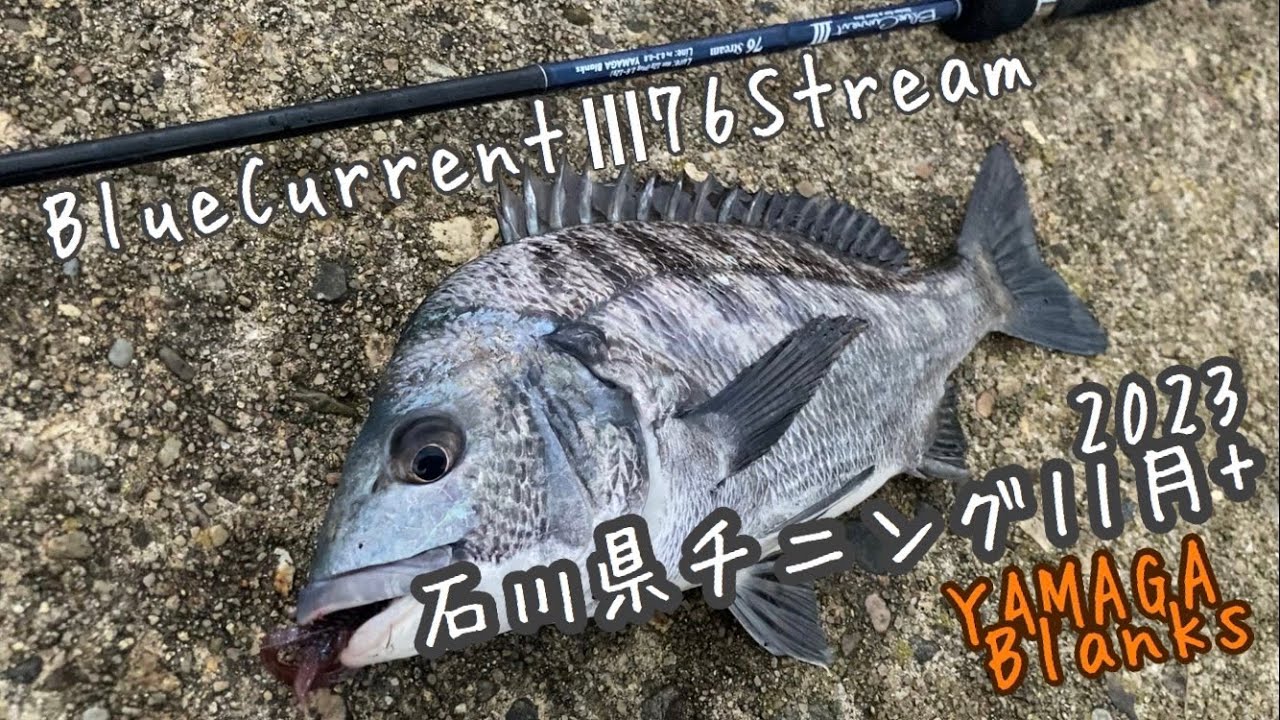 BlueCurrentIII76Stream 石川県チニング11月+