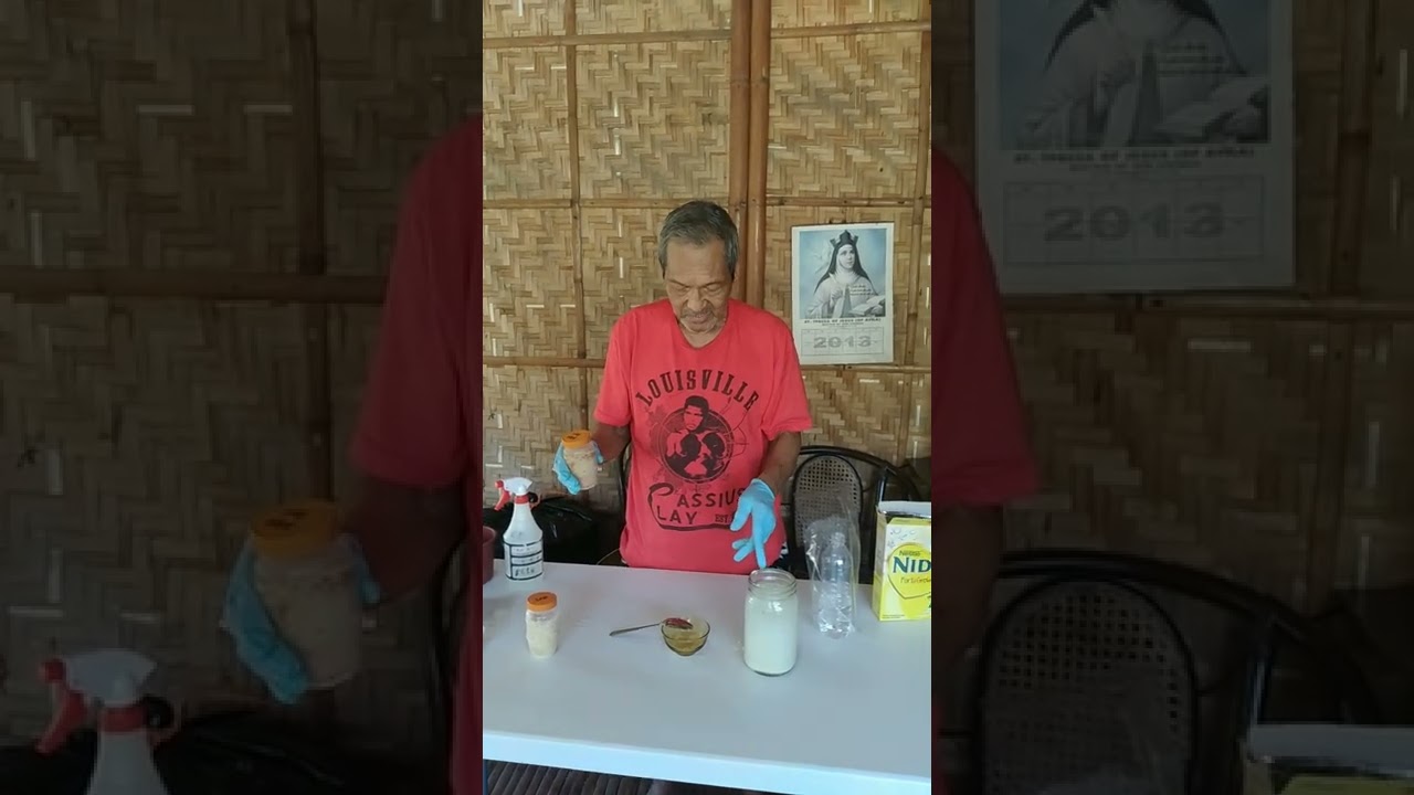 Yogurt making with Lactic acid bacteria starter culture