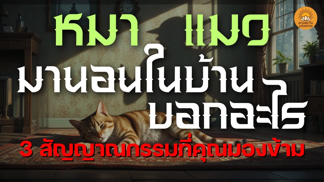 หมา แมวมานอนในบ้านบอกอะไร? เผย 3 สัญญาณกรรมที่คุณอาจมองข้าม