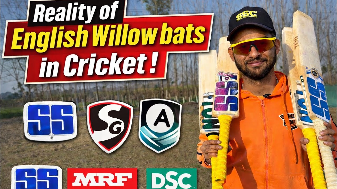Reality Of English Willow Bats in Cricket ⚠️‼️