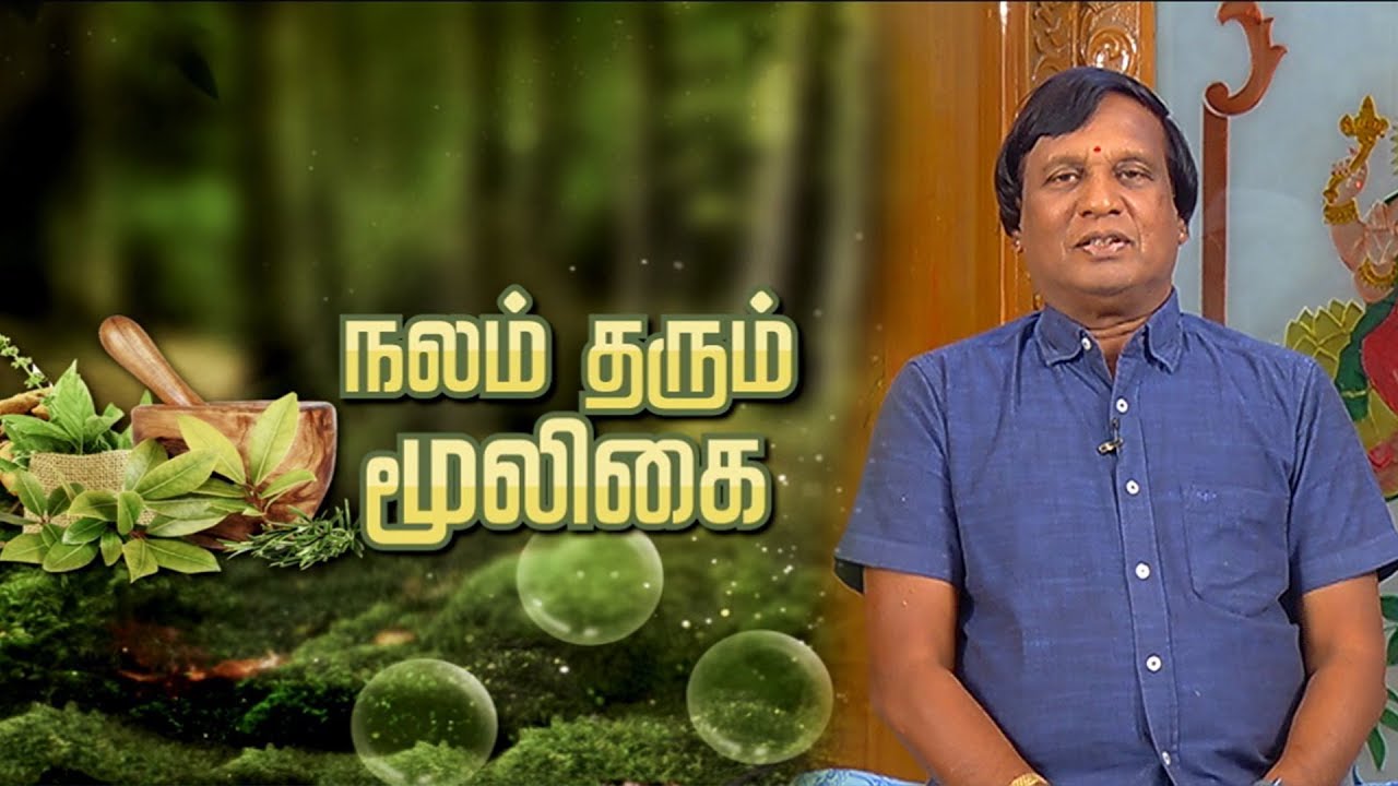 தண்ணீர்விட்டான் கிழங்கு மருத்துவ பலன்கள் | நலம் தரும் மூலிகை 30/08/19