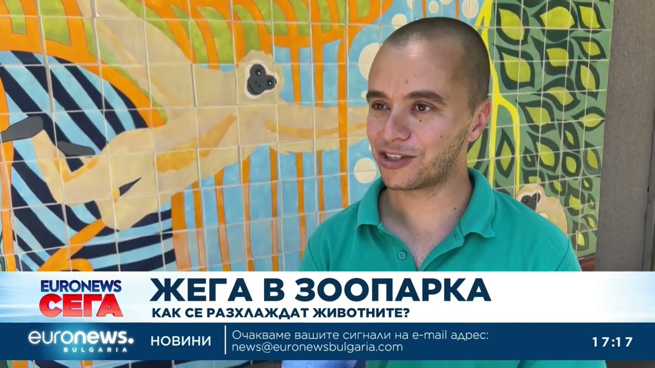 Животните в Зоологическата градина в София се разхлаждат със сладолед