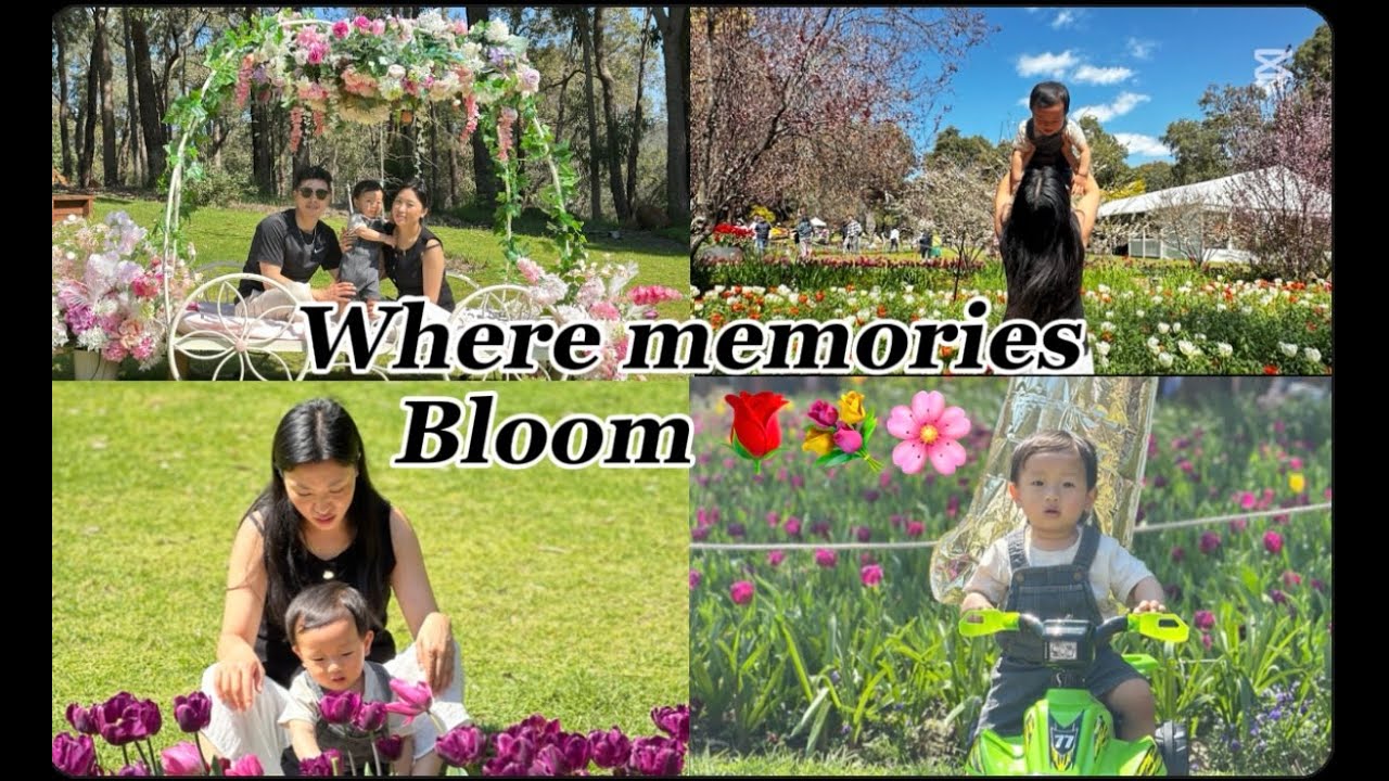 Family time in full Bloom: Discovering the Beauty of Araluen Park, WA