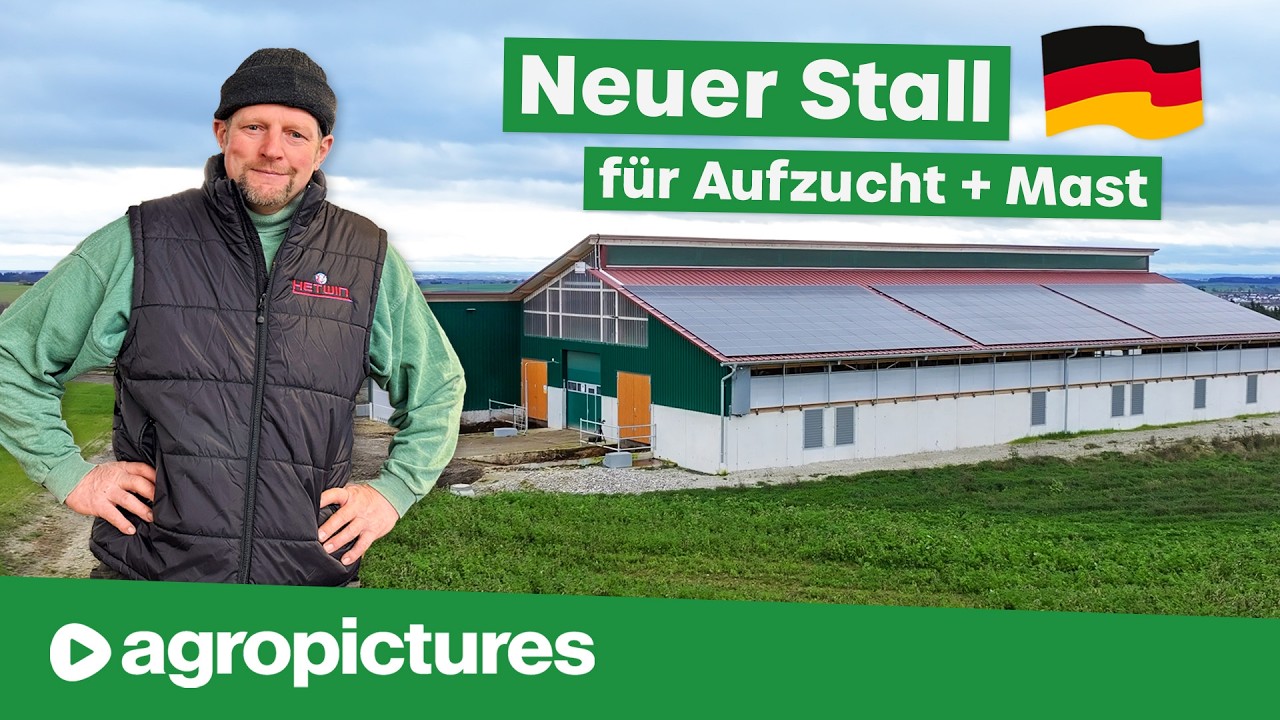 Neuer Tierwohl Stall für Rindermast und Jungviehaufzucht auf Stroh | Hetwin Astor Einstreuroboter