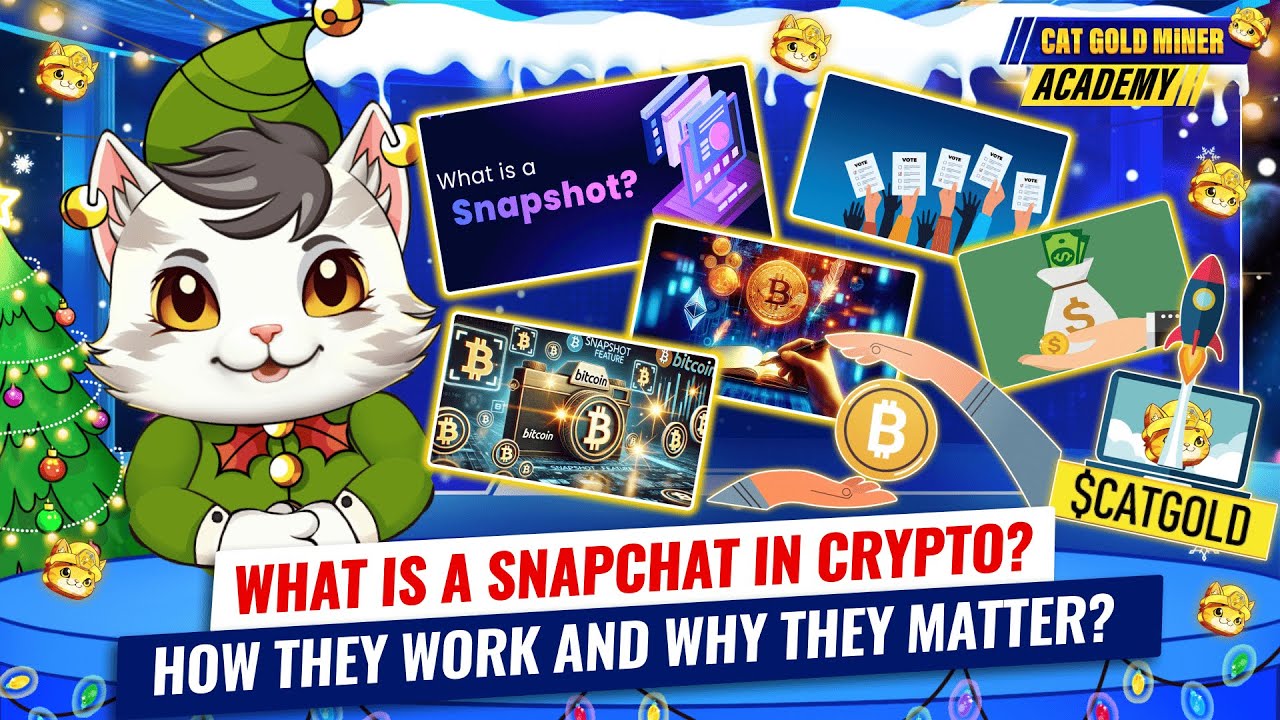Что такое снапшот в криптовалюте? Как это работает и почему это важно? ⚡️CAT GOLD MINER ACADEMY