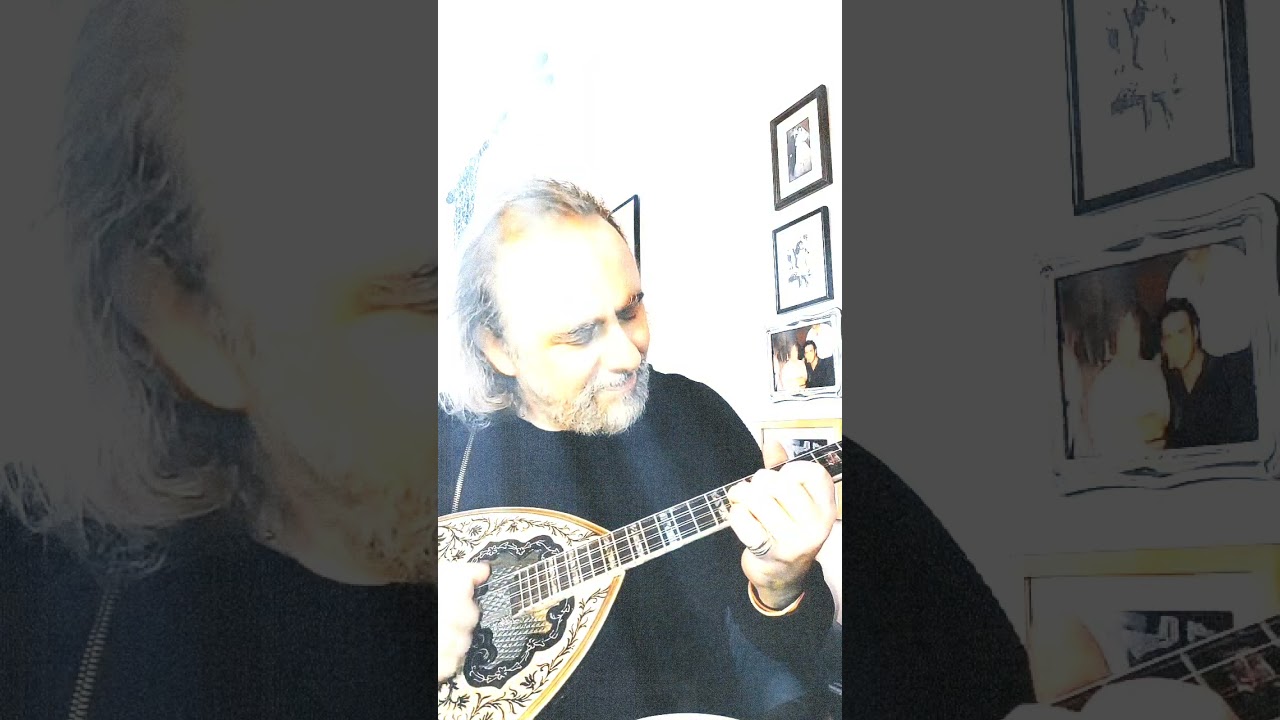 Αλήτισα..Αριστουργηματική ερμηνεία Δημήτρης Μαρκούλης..👑🤎👑Σε μια μαγική βραδιά ζωντανά στο Τικ Τοκ.