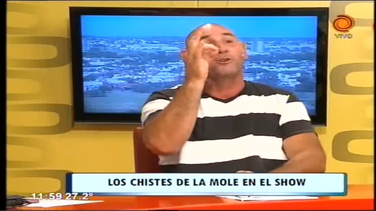 El mono fumaba porros - Cuento de La Mole Moli