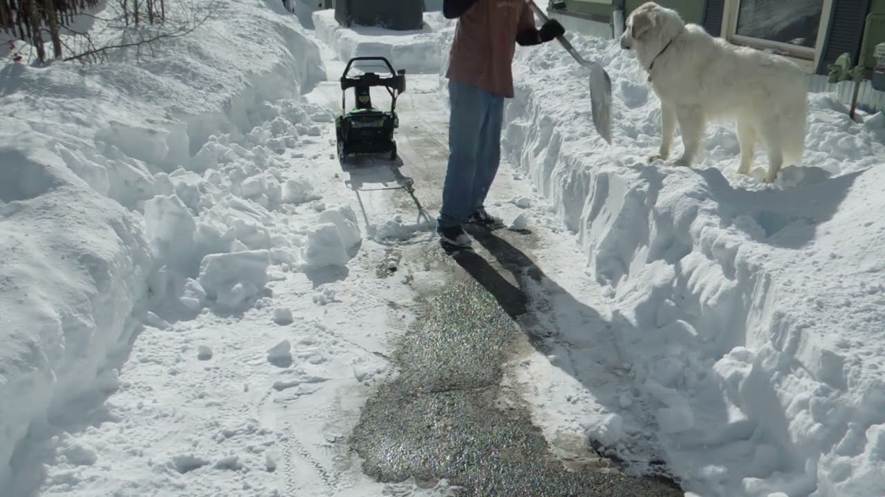 EGO SNT2110 21inch Steel Auger Snow Blower vs 4 feet  Will the Ant eat the Elephant? Fraser Colorado