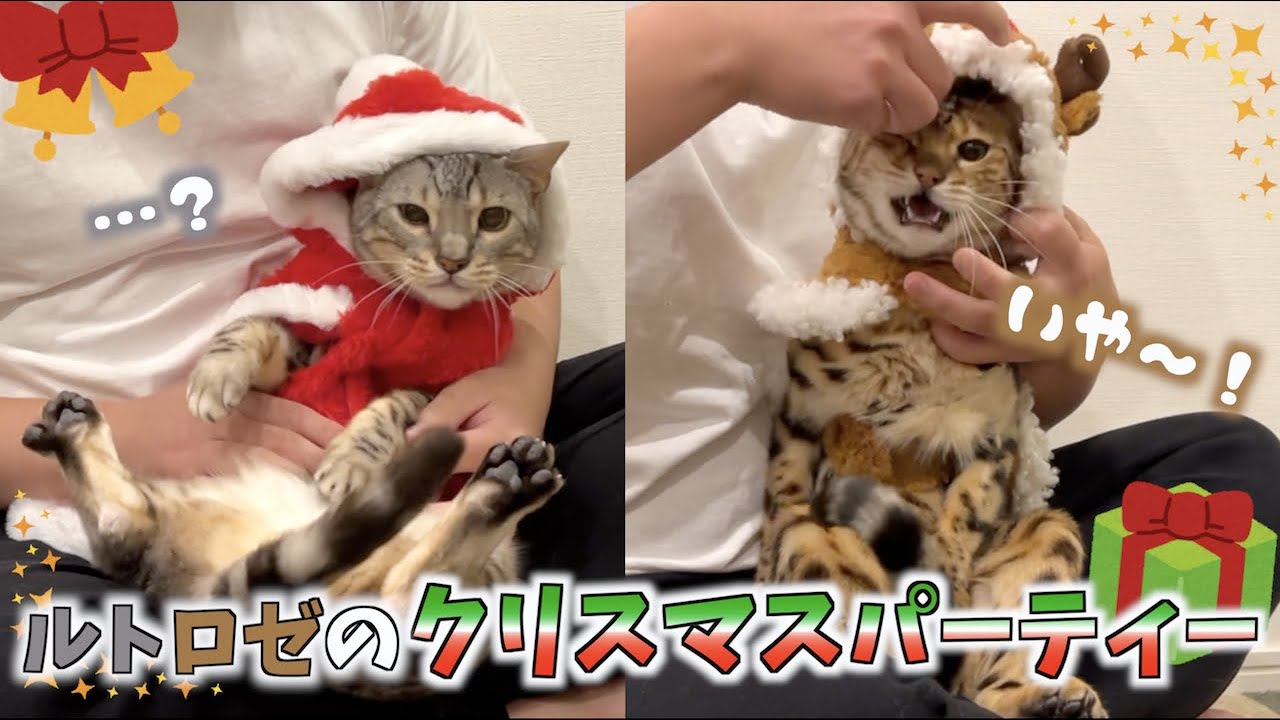 されるがままのルトと注文の多いロゼと過ごすクリスマス