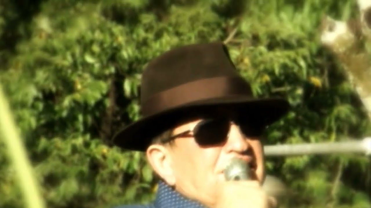 Galego Aboiador - Brasil Pátria Amada
