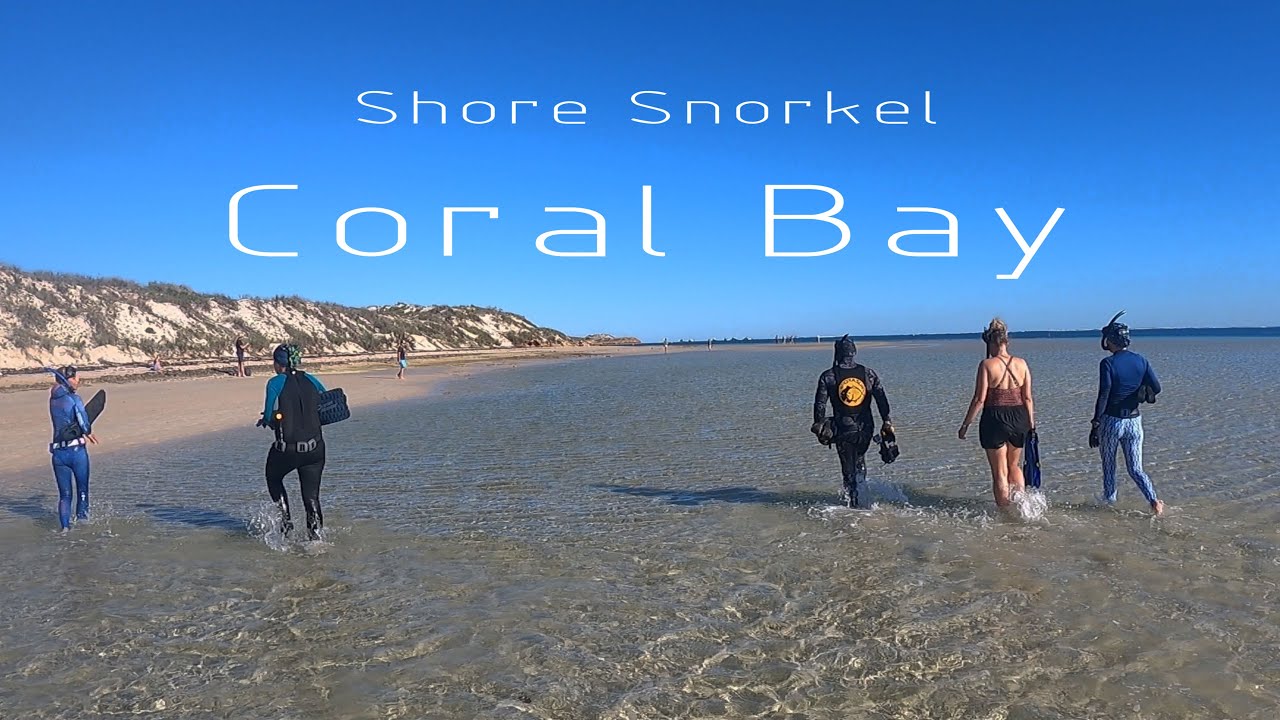 Day3 Coral Bay | Best beach snorkelling