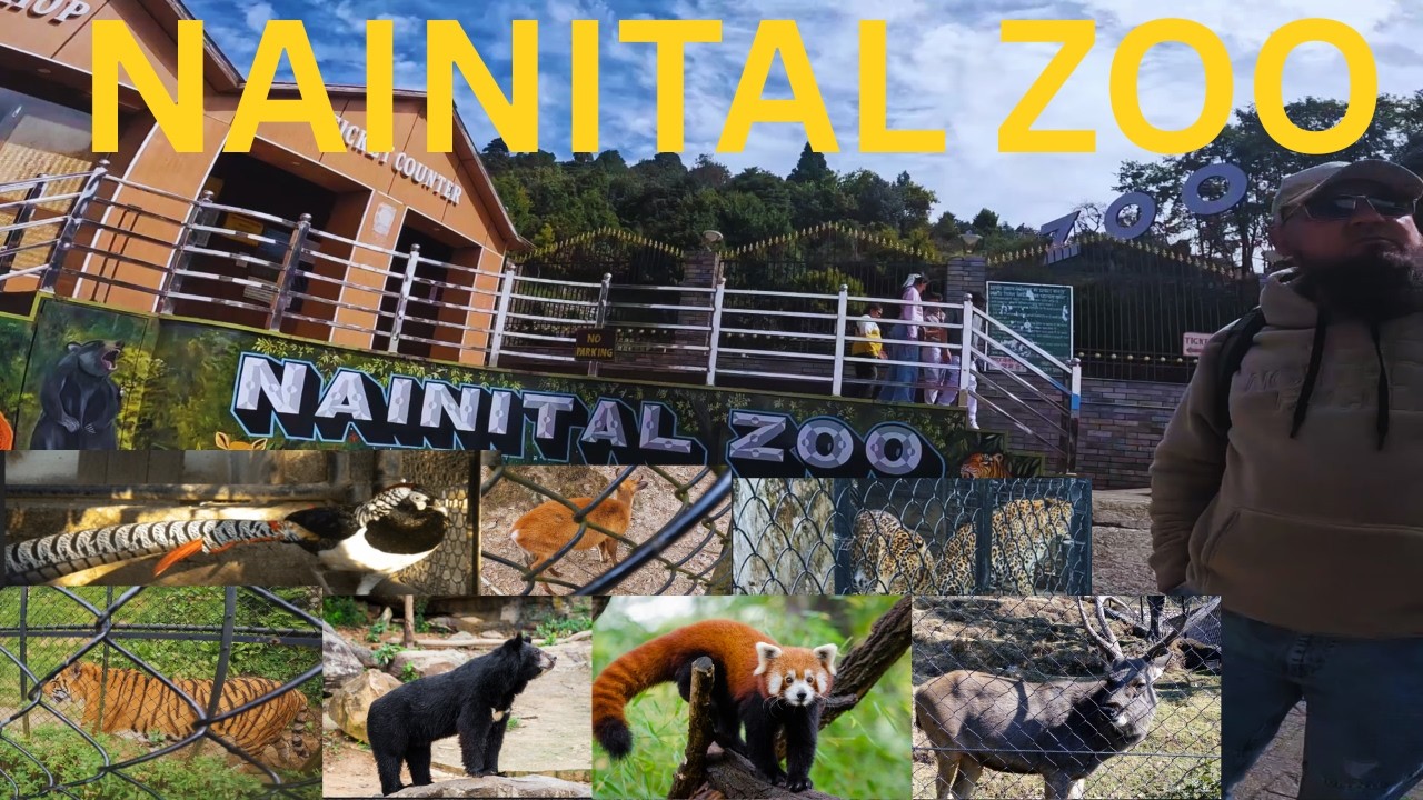 NAINITAL ZOO PART-1 | G. B. PANT High altitude zoo |