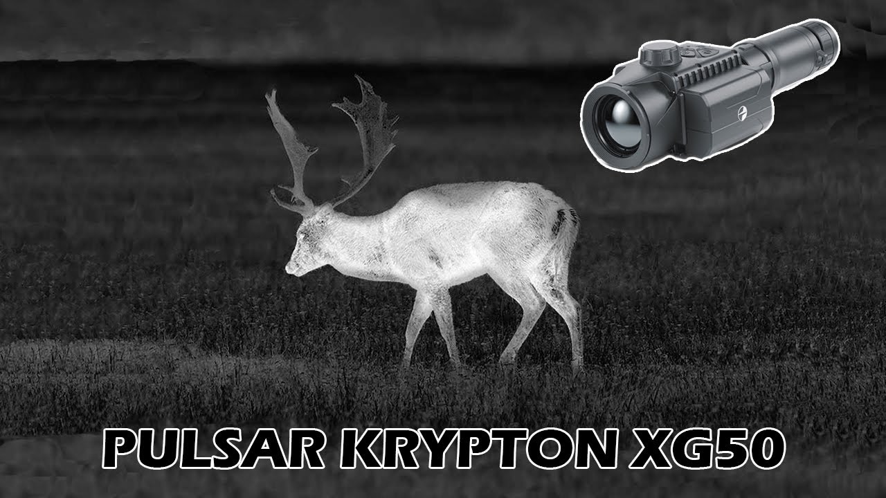 🐗 Review del monocular térmico Pulsar Krypton XG50