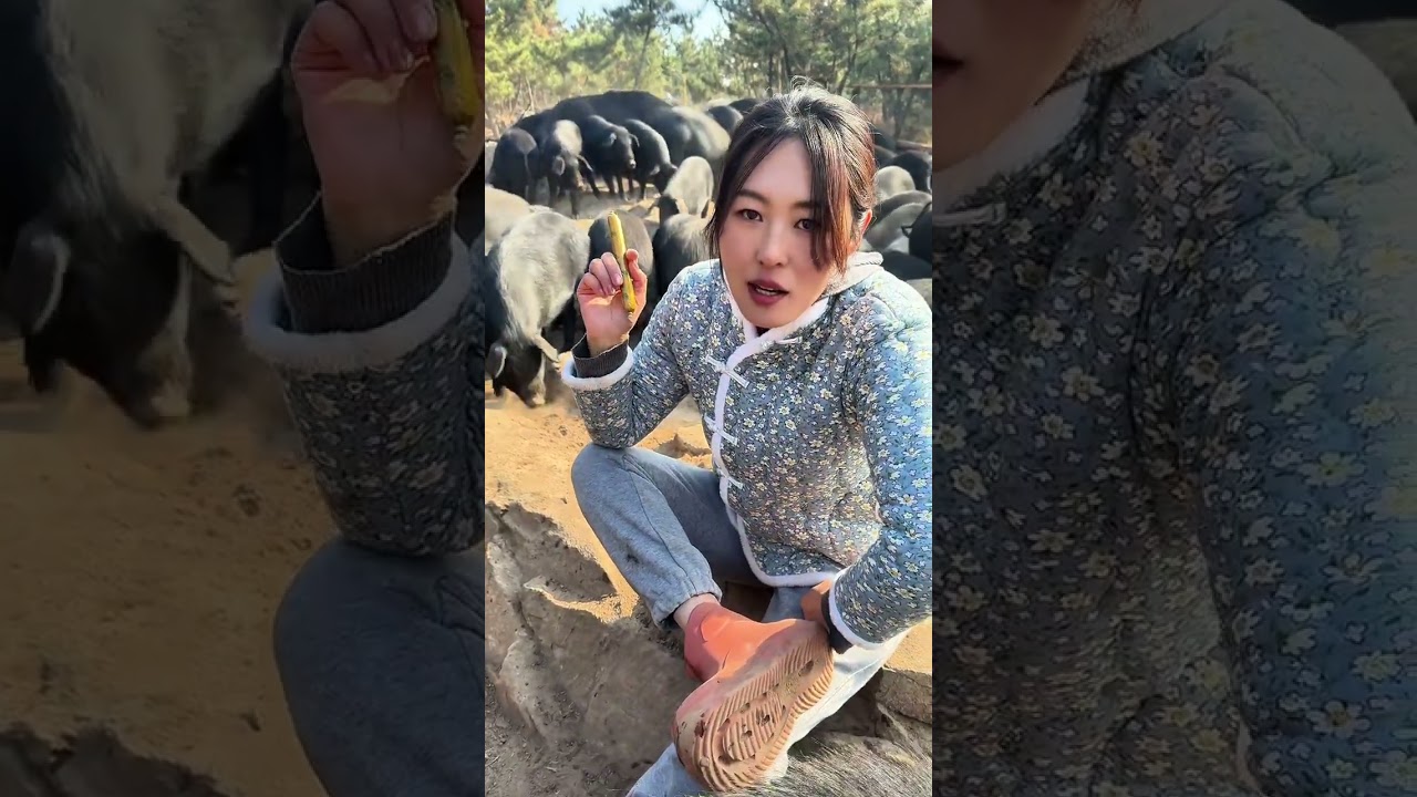 What s my current status