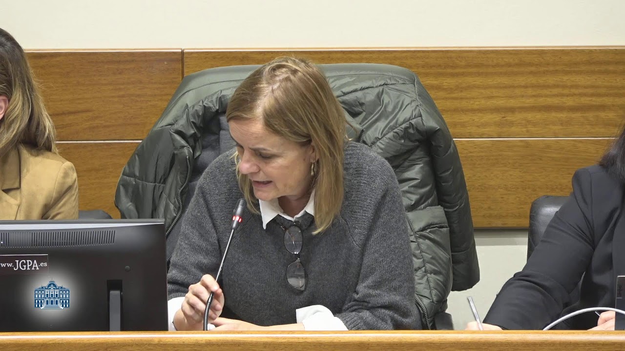Comisi&oacute;n de Investigaci&oacute;n sobre el accidente en la mina de Cerredo (III)