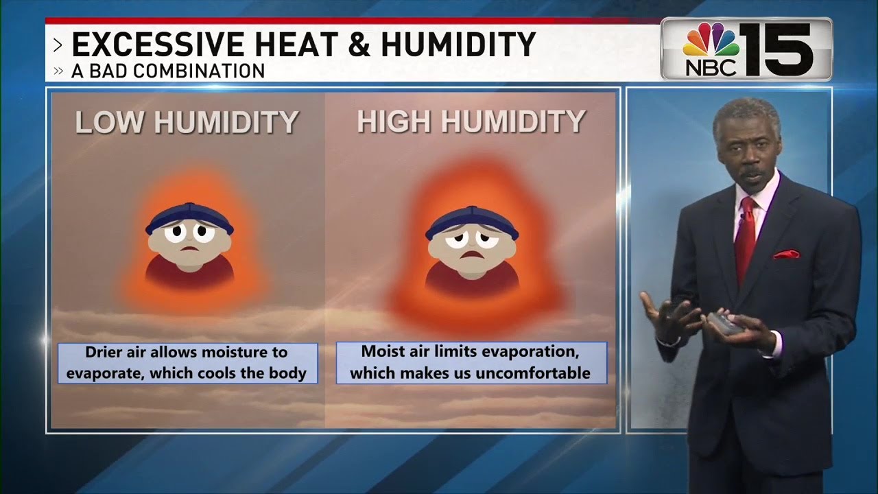 Gulf Coast heatwave forecast on June 28, 2023
