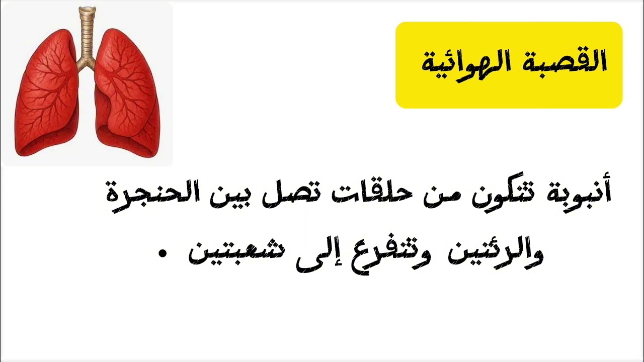 علوم خامس ابتدائي- الوحدة(١) -الدرس(١)