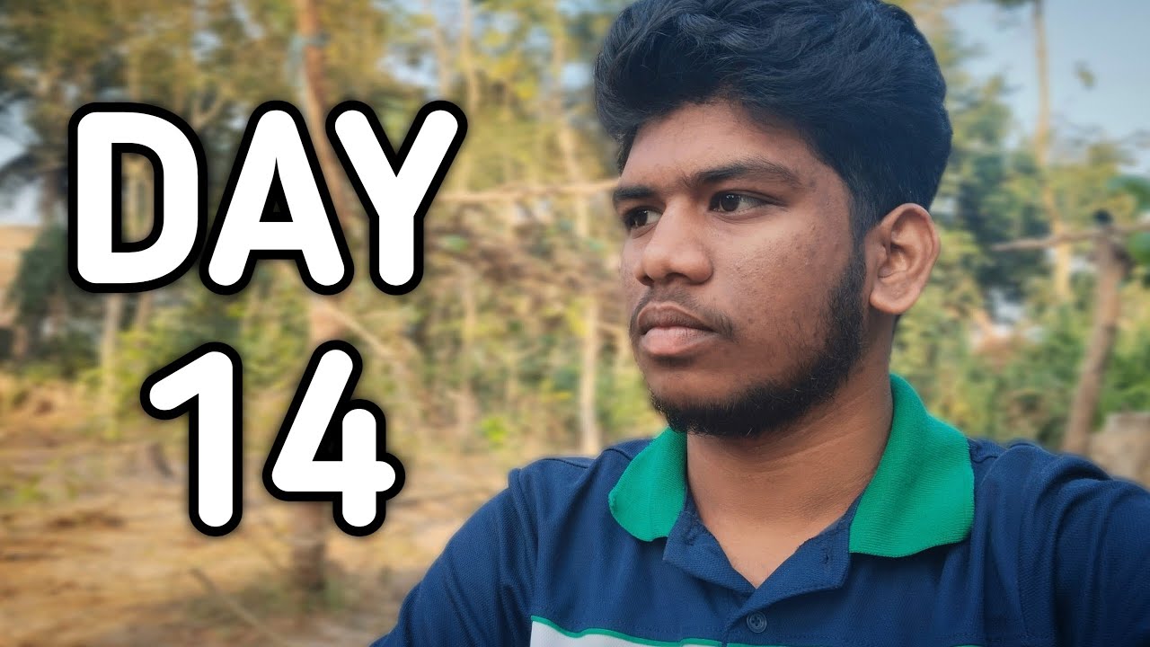 Day 14 What Is The Meaning Of Procrastination.