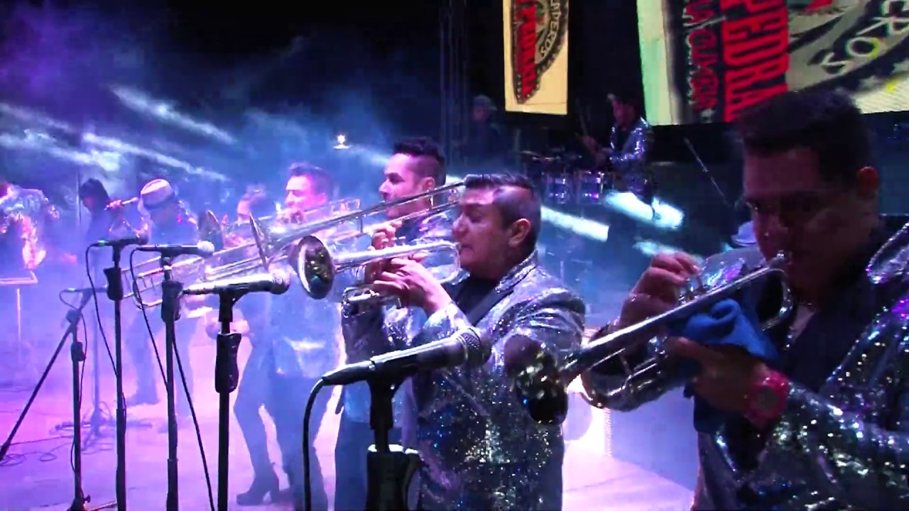 Nery Pedraza y los Guaraperos de la Cumbia 💥  Tu falso Amor