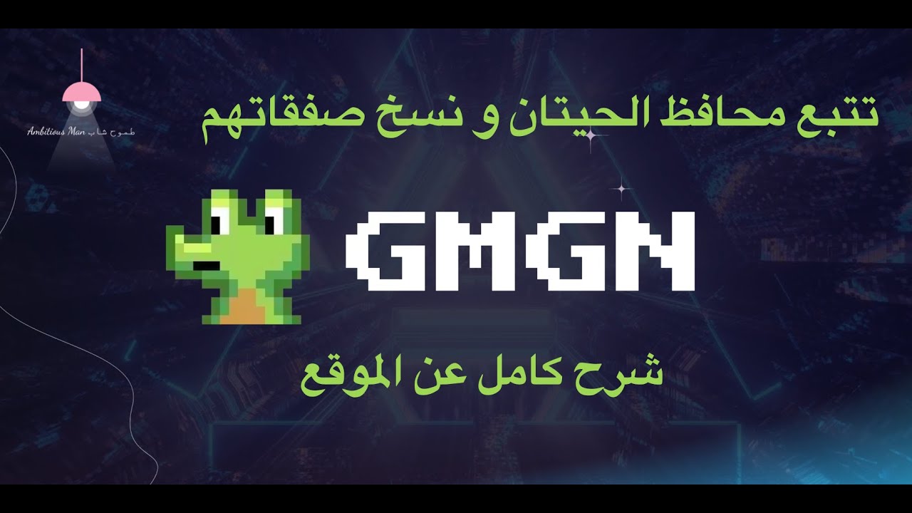 افضل اداة لتتبع محافظ الحيتان و الربح من خلالهم | شرح كامل GMGN.AI