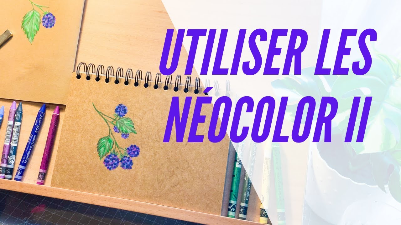 Neocolor 2 aquarelle : utilisation, avis, test et illustration