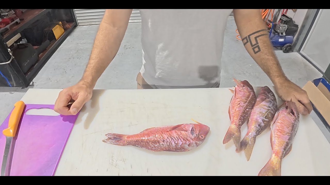 Filleting Goatfish (red mullet) and Blue Throat Wrasse