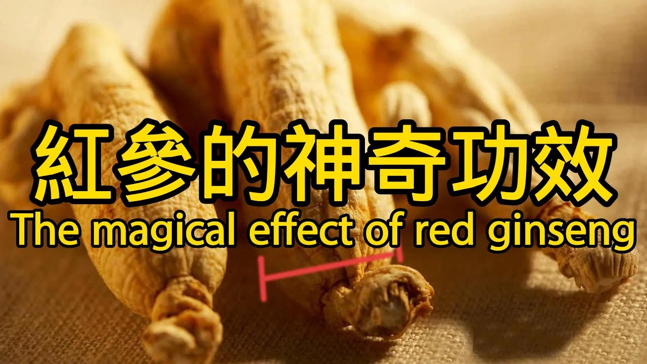 紅參的功效與作用 The efficacy and function of red ginseng