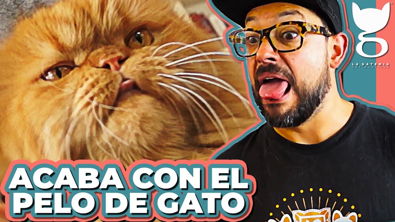 CÓMO QUITAR EL PELO DE GATO | La Gatería TV