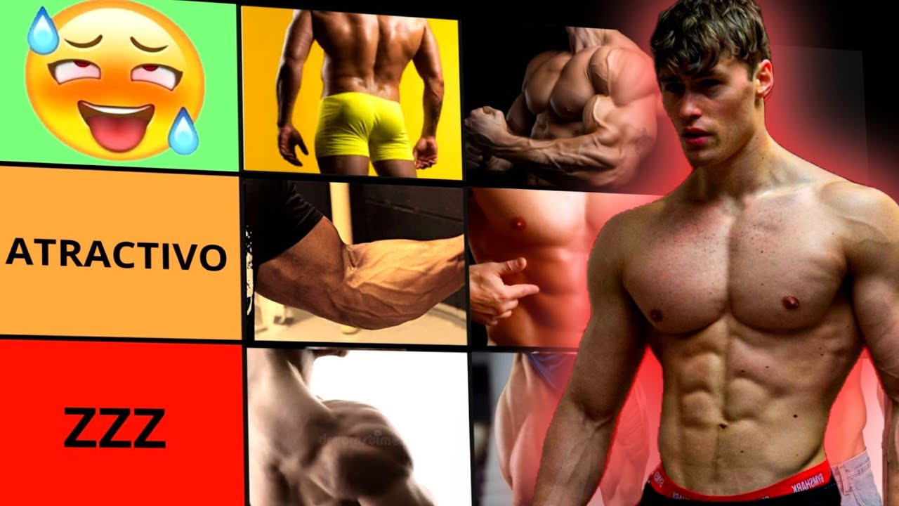 Los MUSCULOS más ATRACTIVOS PARA LAS MUJERES - Tier List