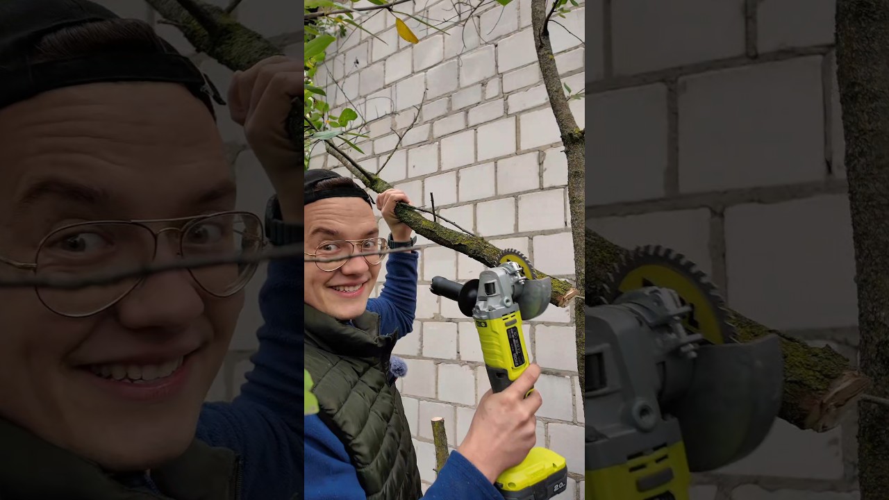 A tym czym wycinasz drzewa?? #ryobi #drzewo #szlifierka