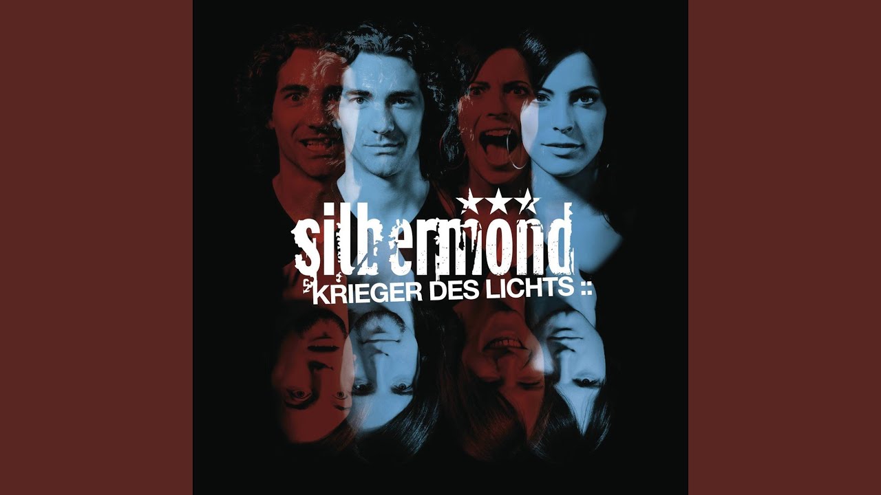 Krieger des Lichts (Friendship! Remix)