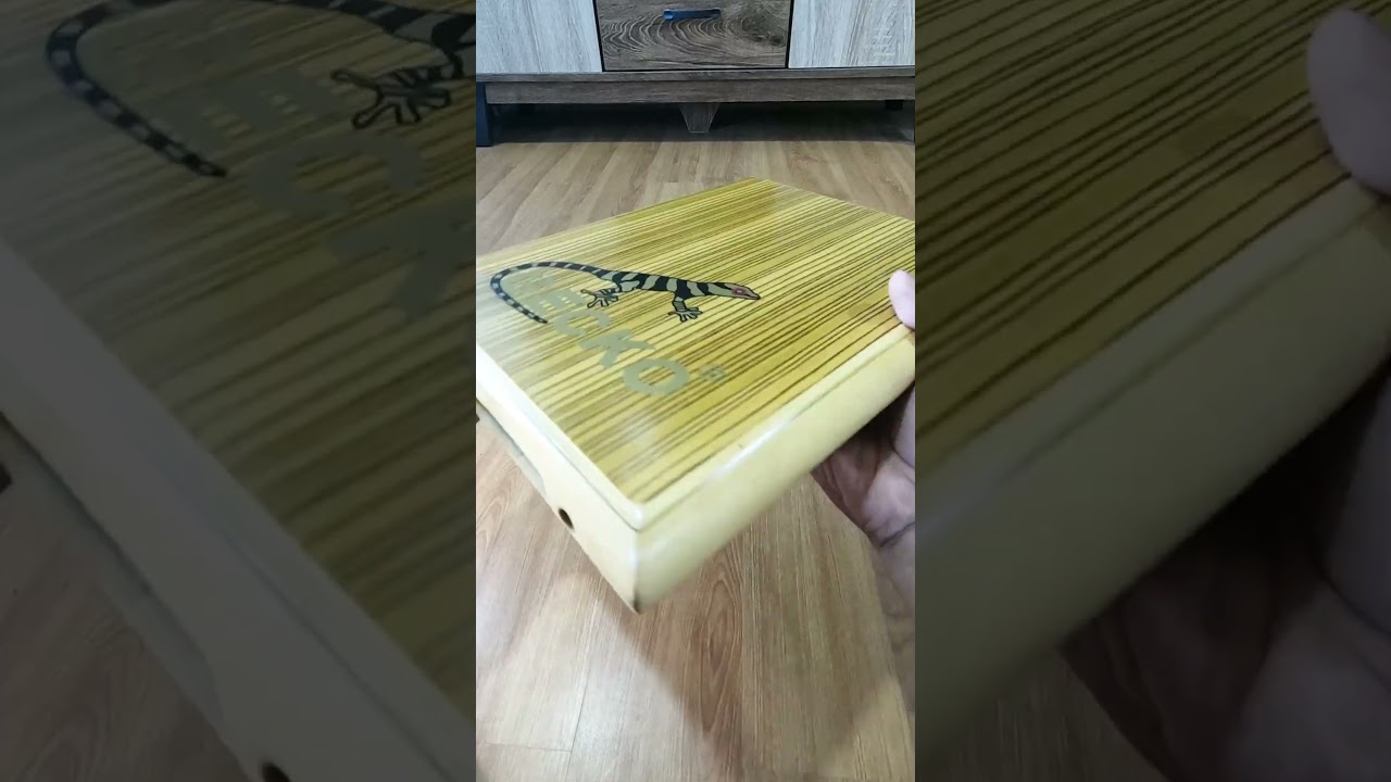 GECKO CAJON #shorts #gecko #cajon #music #instrumental #instrument #asmr #gharythegreatvlog