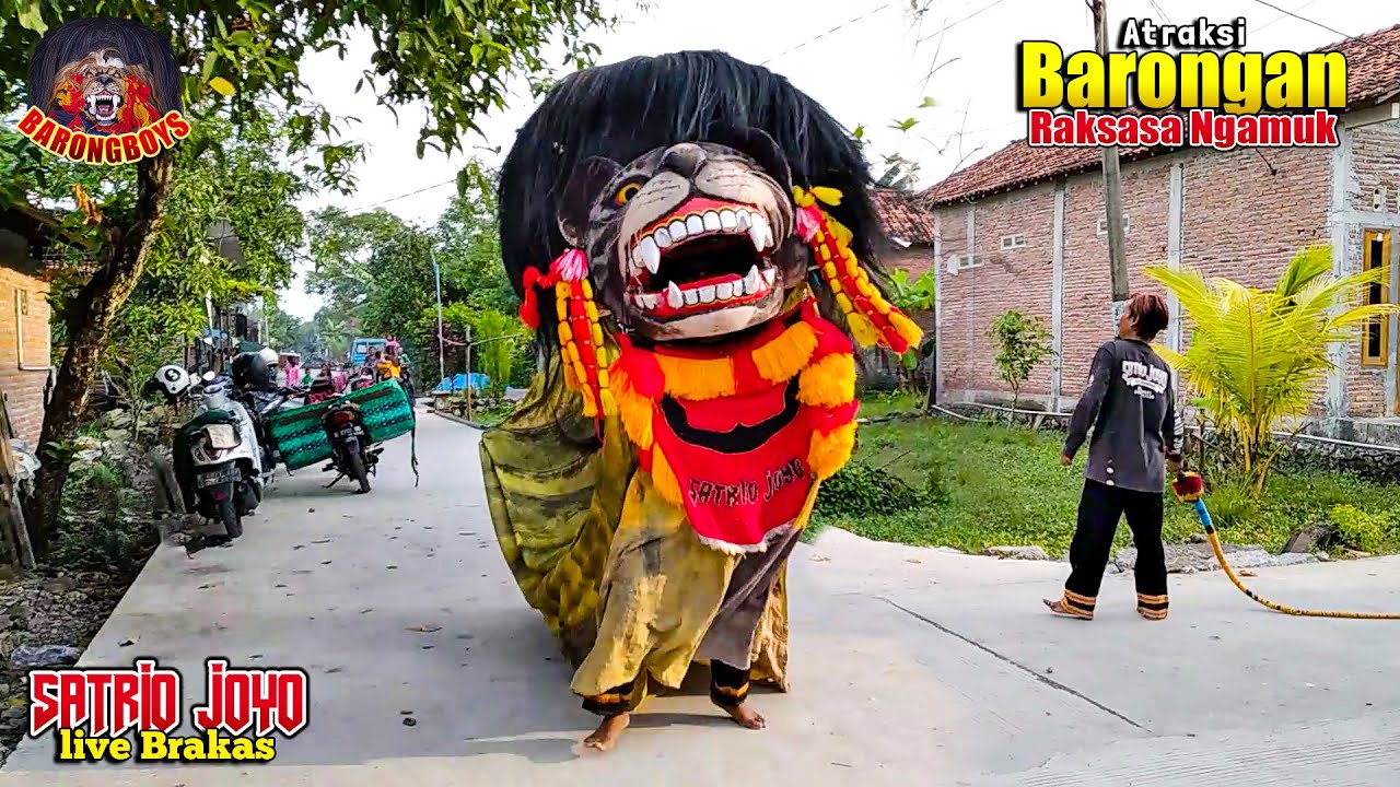 Atraksi BARONGAN RAKSASA NGAMUK !! Barongan Galak Banget | Barongan Satrio Joyo Bugel ||  BarongBoys