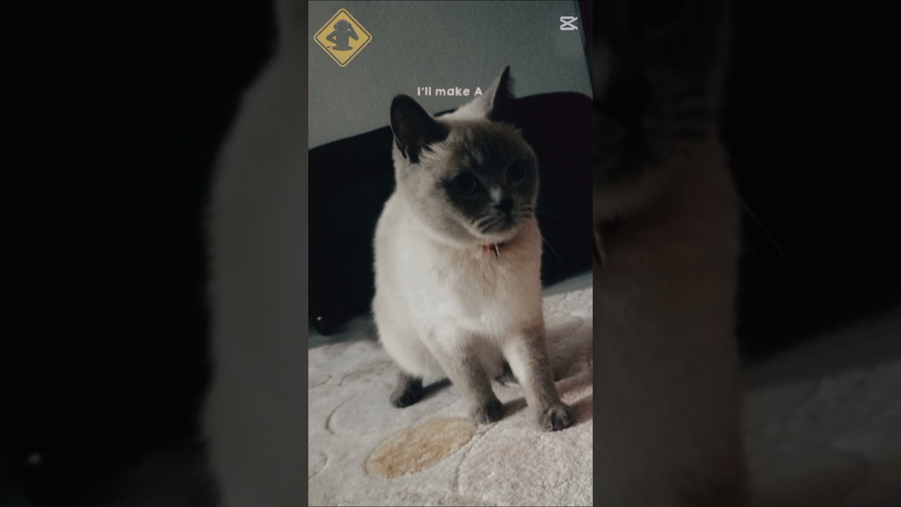 #รักคนดูและผู้ติดตาม nasıl yaptığımı sizce