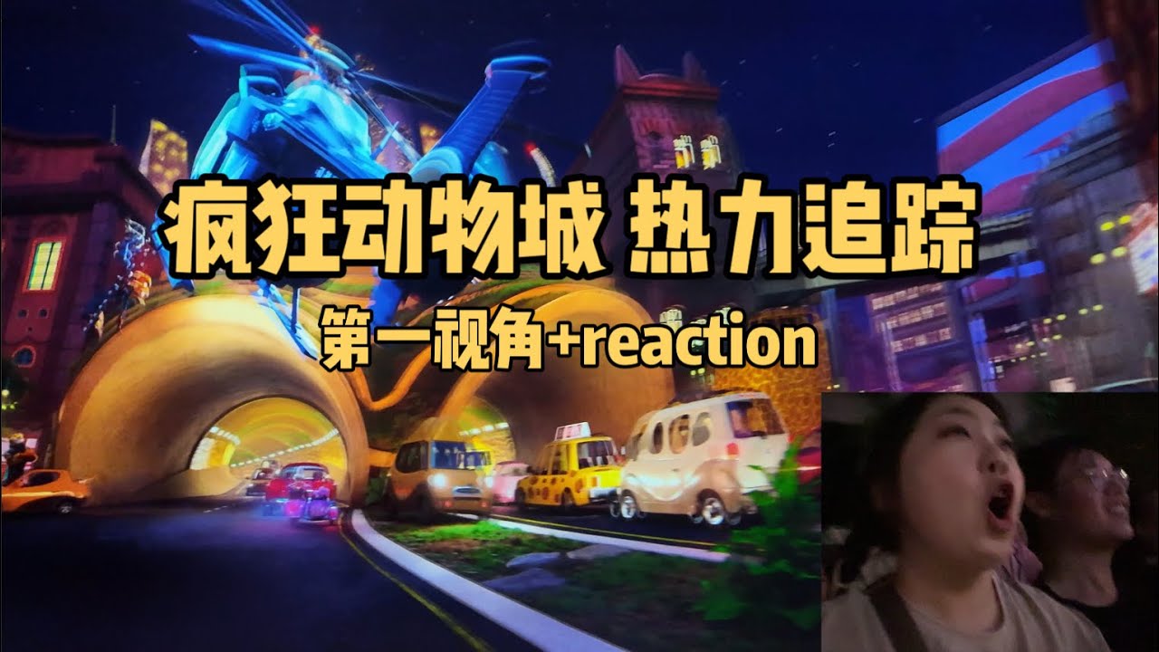上迪最值得排队的项目！热力追踪第一视角 | 疯狂动物城 | Pocket3 | 上海迪士尼 | Shanghai Disney