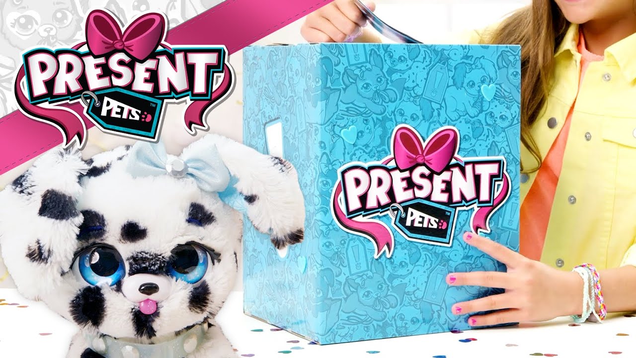 PRESENT PETS with LIMITED EDITION ACCESSORIES &ndash; Only at Walmart