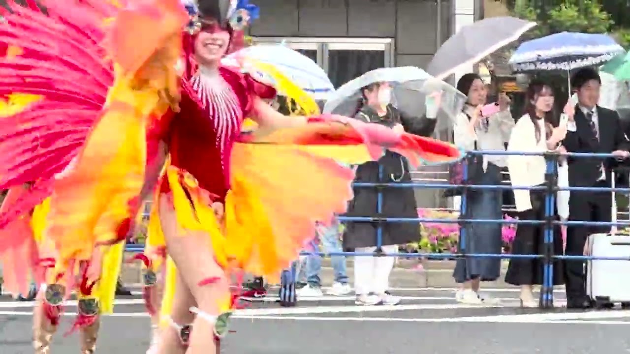 Copacabana Samba Team by Beija-Flor Japan (20240421) 第51回 神戸まつり