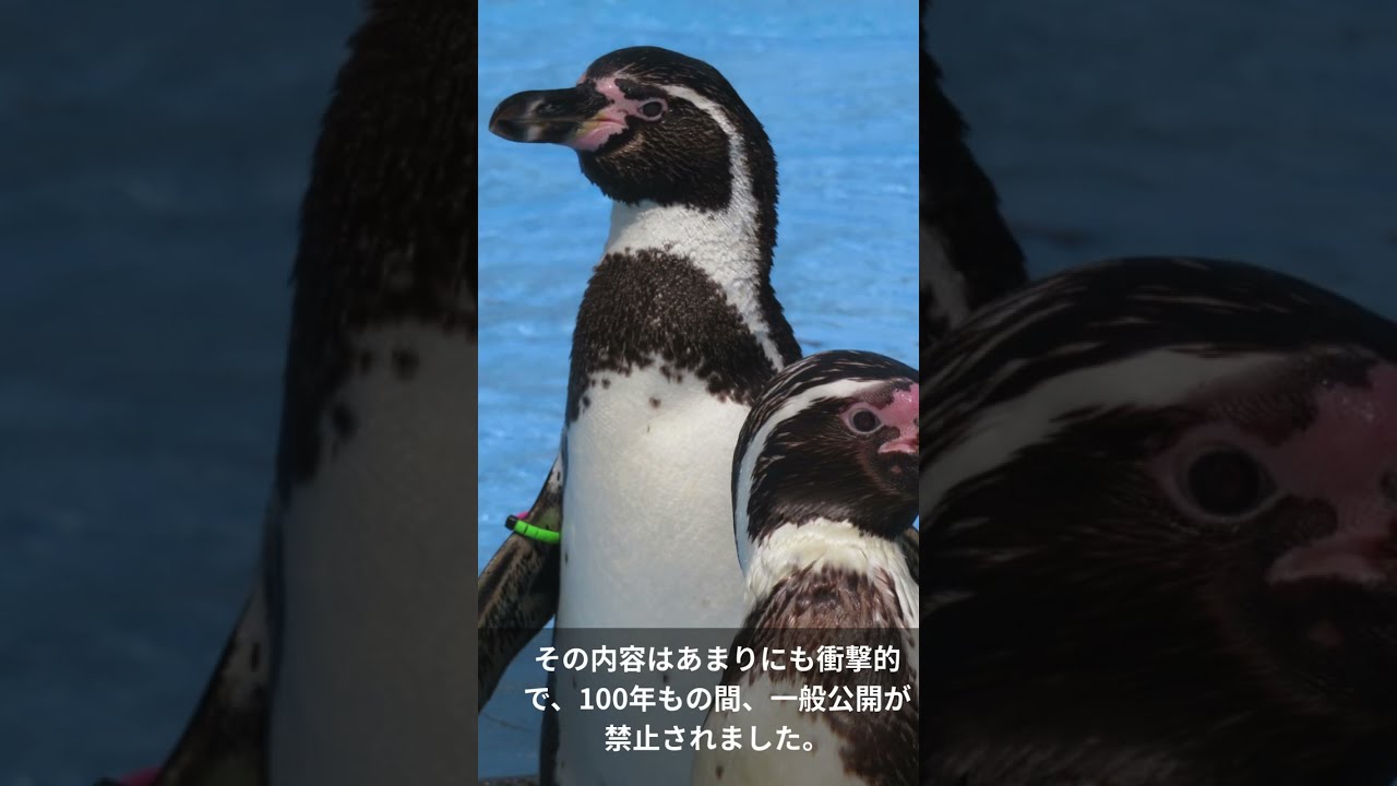 ペンギンの民度がやばすぎる
