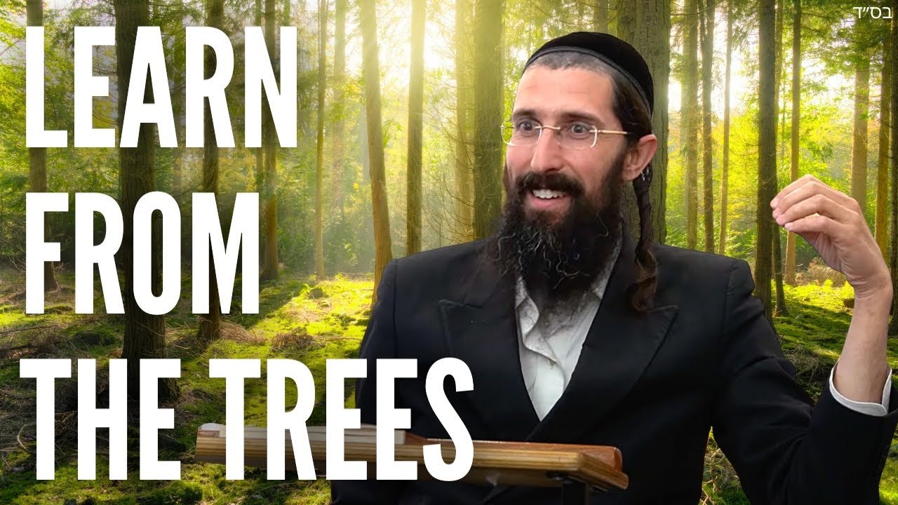 Learn From The TREES
