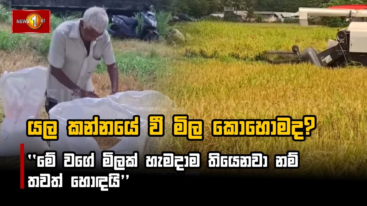 යල කන්නයේ වී මිල කොහොමද?