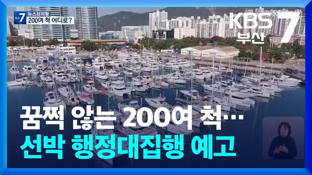 꿈쩍 않는 200여 척…선박 행정대집행 예고 / KBS  2026.02.11.