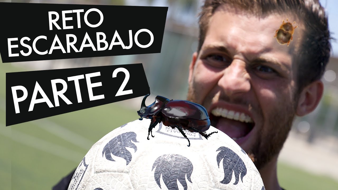 FÚTBOL vs ESCARABAJOS parte 2 - Retos (challenges) de goles de volea con arquero (portero)