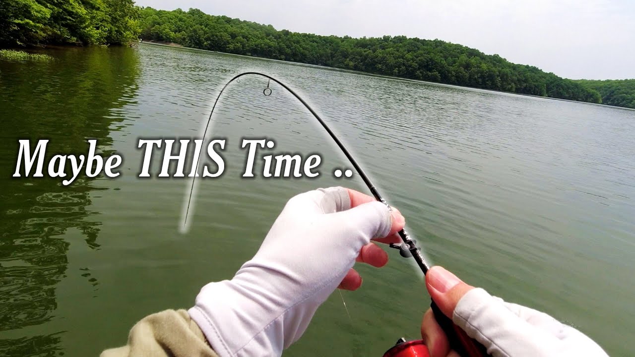 Abu Garcia ERADICATOR  |  GORGEOUS BLUEGILL